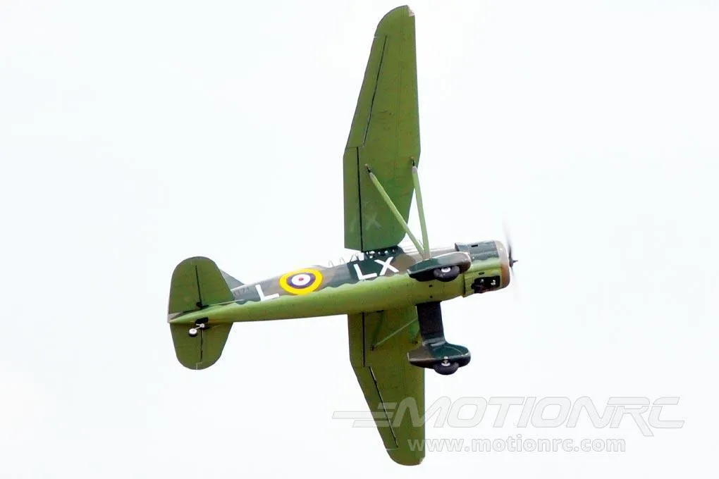 Black Horse Westland Lysander 2540mm (100") Wingspan - ARF