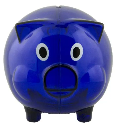 Econo Piggy Bank