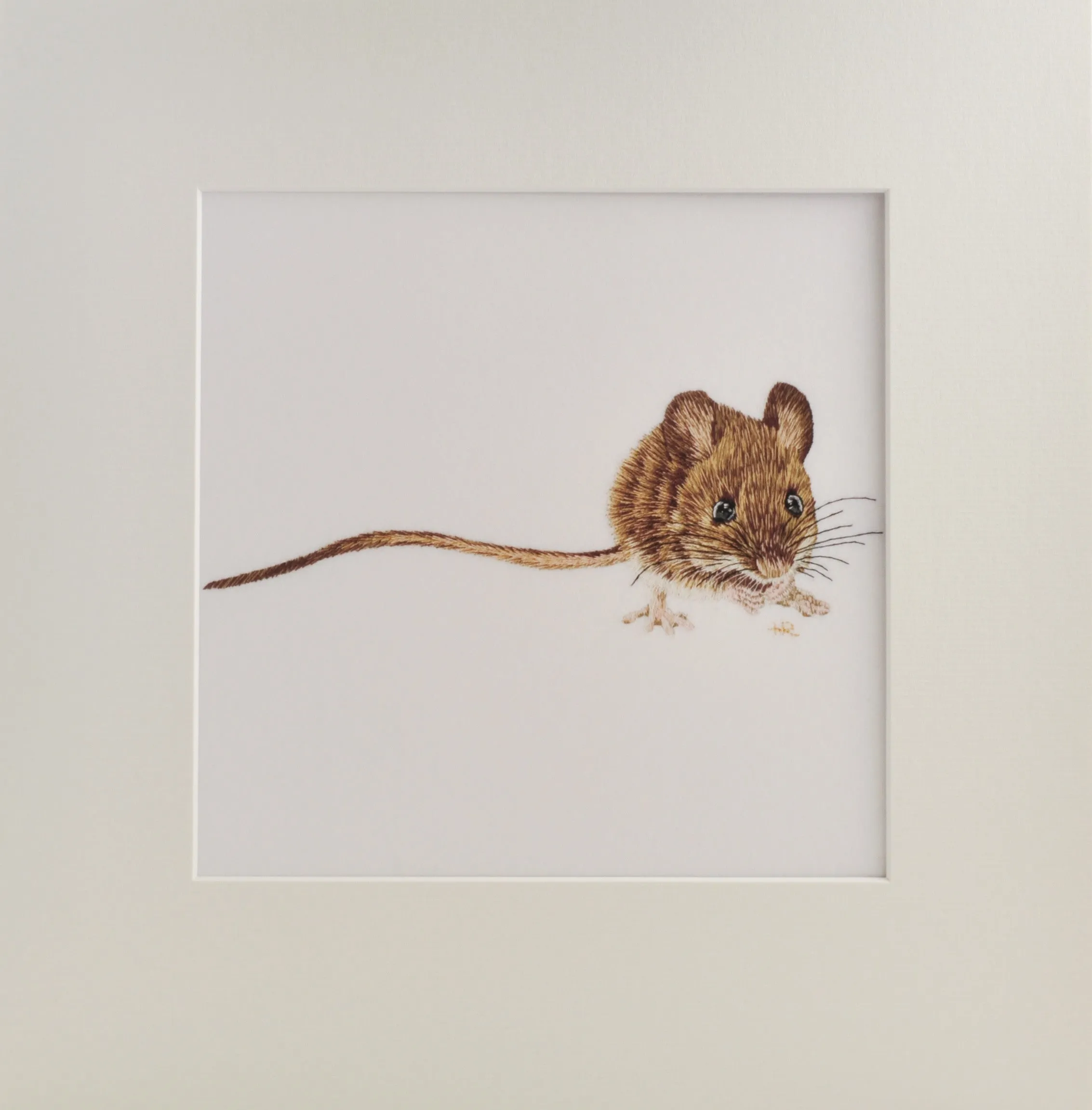 Wood Mouse Prints and Cards